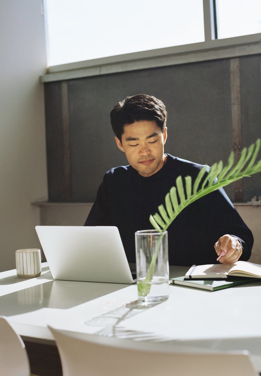 Employee in a sunny office with a green plant